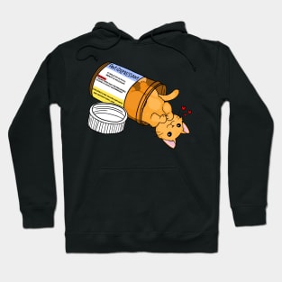 Orange kitty antidepressant love medicine Hoodie